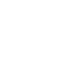 Race Capital logo